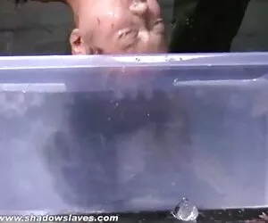 Giovane bella TS pornototale gratis mostrando grande cazzo