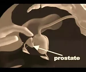 Masturbarsi sul campo di mais e cumming nel video porno in hd gratis bosco