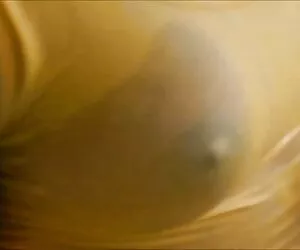 HD-PornPros scopata e ingoiare video potno hd