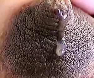 Tinka strofina lupo porno hd rapidamente questa figa